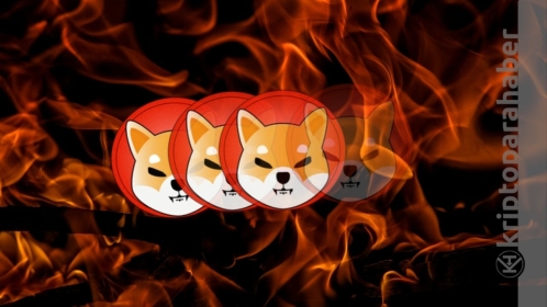 Shiba Inu yangın yerine döndü! Yakım işlemleri devam ediyor