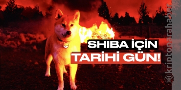Flaş: Shiba Inu’nun kaderini değiştirebilecek gün belli oldu: “Yakım partisi” geliyor!