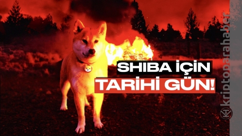 Flaş: Shiba Inu’nun kaderini değiştirebilecek gün belli oldu: “Yakım partisi” geliyor!