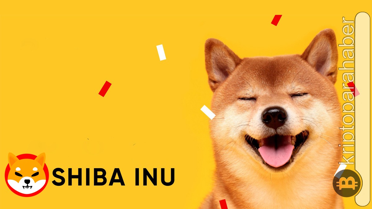Ünlü şirketin sahibi, Shiba Inu fiyatının nasıl bu seviyelere yükselebileceğini açıkladı!