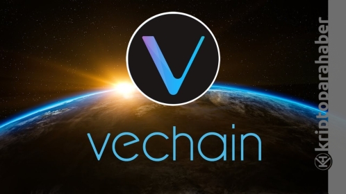 Kritik desteğe çarpan bu altcoin’e sahipseniz dikkat! Düşüş derinleşebilir… Teknik analiz