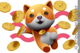 BabyDoge, 2022 yılının Shiba'sı olabilir mi?