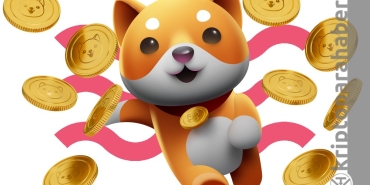 BabyDoge, 2022 yılının Shiba'sı olabilir mi?