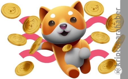 BabyDoge, 2022 yılının Shiba’sı olabilir mi? Aktivite artışıyla dikkat çekiyor