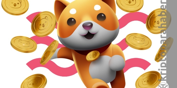 BabyDoge, 2022 yılının Shiba'sı olabilir mi?