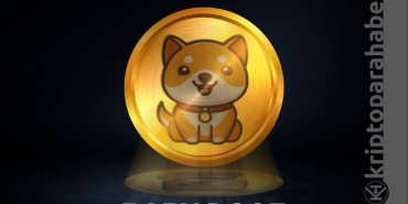 BabyDoge, yükselmeye devam ediyor! Yeni bir rekor geldi...