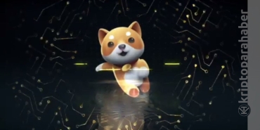 Sessizce büyüyen BabyDoge, yeni bir rekor daha kırdı