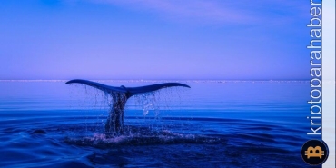 Bu altcoin’ler son zamanlarda balina hesapların gözdesi oldu