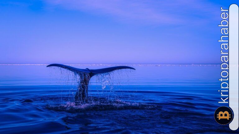 Bu altcoin’ler son zamanlarda balina hesapların gözdesi oldu