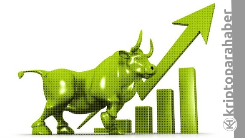 Bu kripto paralar düşüş trendini tersine çevirecek!