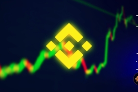 Binance Coin analizi: BNB, direnç bölgesinde zorlanmaya devam ediyor, kırılım gelir mi?