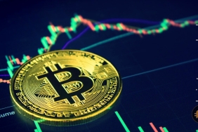 BTC, 39.000 dolar seviyelerindeyken kripto borsalarından çekilen Bitcoin miktarı dikkat çekti