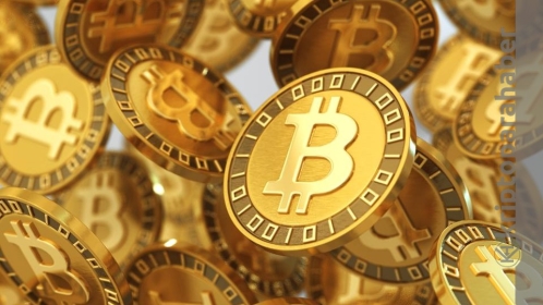 Bitcoin’den vazgeçmeyen büyük şirketler hangileri? 2022 itibarıyla ne kadar BTC tutuyorlar?