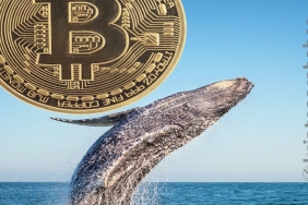 Bitcoin balinaları canlandı! Bu ne anlama geliyor?