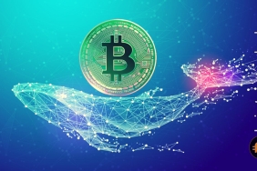 Rapor: Balinalar son 2 ayda ne kadar BTC biriktirdi?