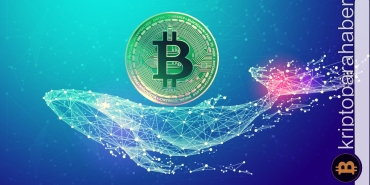 Rapor: Balinalar son 2 ayda ne kadar BTC biriktirdi?