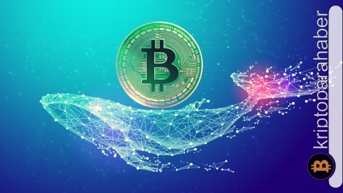 Rapor: Balinalar son 2 ayda ne kadar BTC biriktirdi?