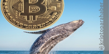 Bitcoin balinaları hareketlendi: Son 48 saatte önemli hareketler var