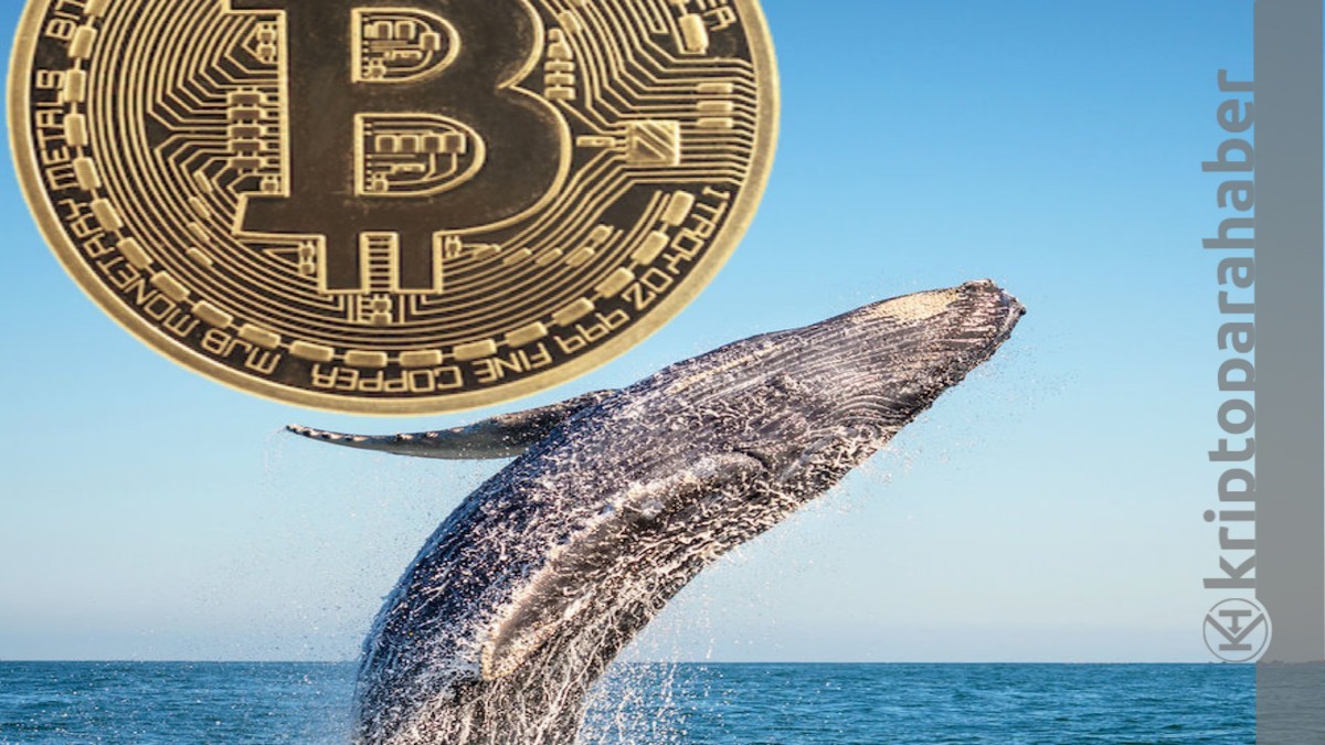 Bitcoin balinaları hareketlendi: Son 48 saatte önemli hareketler var