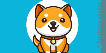 Bu token'in yatırımcı sayısı Shiba'yı devirdi! Çılgın coin!