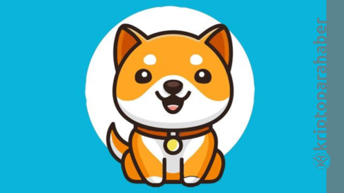 Bu token’in adres sayısı Shiba’yı devirdi! Çılgın coin!