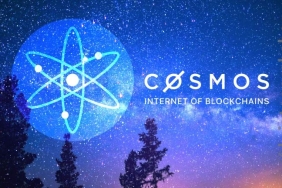 Cosmos (ATOM) değer artışı devam ediyor, altcoin için sırada ne var?