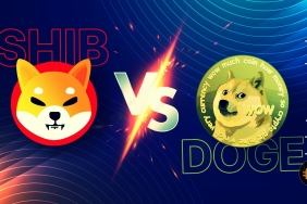 Mevcut düşüş Dogecoin ve Shiba Inu'yu diğer kriptolardan daha sert vuruyor