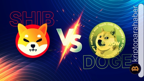 Mevcut düşüş Dogecoin ve Shiba Inu’yu diğer kriptolardan daha sert vuruyor