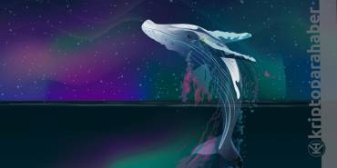 Ethereum balinaları bu altcoin'i satın almaya başladı! İşte detaylar