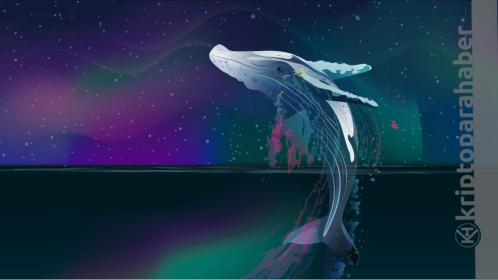 Ethereum balinaları bu altcoin’i satın almaya başladı! İşte detaylar