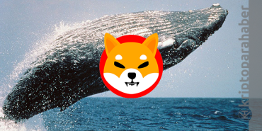 Ethereum balinası devasa miktarda SHIB alımı gerçekleştirdi!