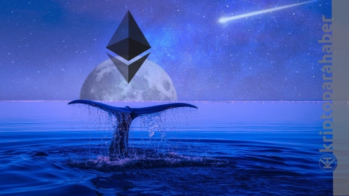 Ethereum balinaları devrede yüklü miktarda alım yaptılar! Piyasayı nasıl etkileyecek?