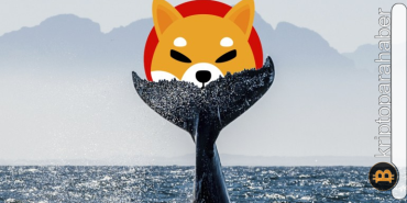 Ethereum balinaları Shiba Inu'dan vazgeçmiyor! Bir günde devasa alımlar...