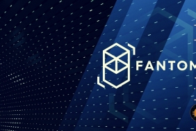Bu oran, Fantom’un (FTM) henüz yolun başında olduğunu gösteriyor