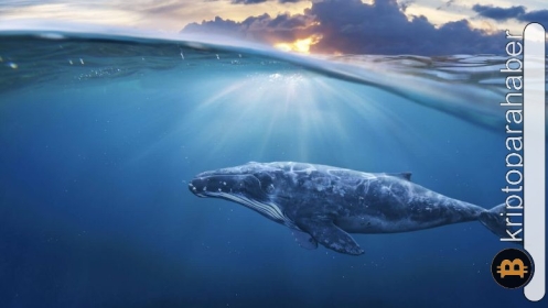 Ethereum balinaları devrede! Bu altcoin’de devasa alım gerçekleşti