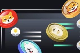 Listeleme haberiyle coşan meme coin SHIB’i geçti! Yeni süperstar mı geliyor? Fırsat sürüyor!