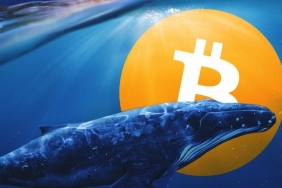 Bitcoin balinaları varlıklarını artırmaya devam ediyor!