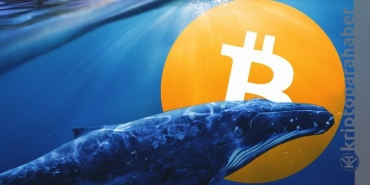 Bitcoin balinaları varlıklarını artırmaya devam ediyor!