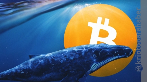 Bitcoin balinaları varlıklarını artırmaya devam ediyor!