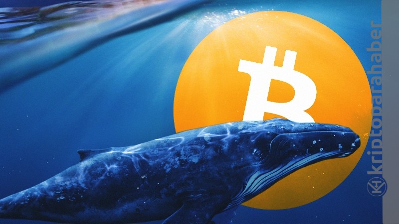 Bitcoin balinaları varlıklarını artırmaya devam ediyor!