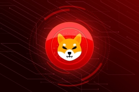 Shiba Inu net akışı yüzde 207 yükseldi, ne anlama geliyor?