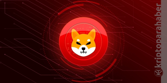 Shiba Inu net akışı yüzde 207 yükseldi, ne anlama geliyor?