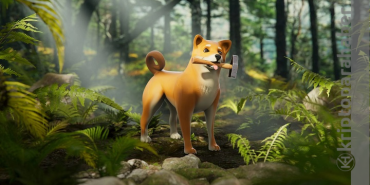 Shiba Inu'nun metaverse projesi SHIB fiyatını nasıl etkileyecek?