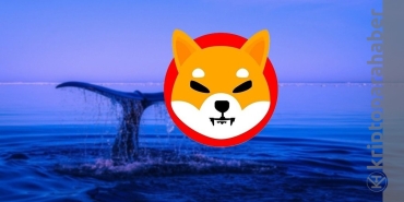 Balinalar Shiba Inu satın almaya devam ediyor! SHIB miktarı dudak uçuklatıyor