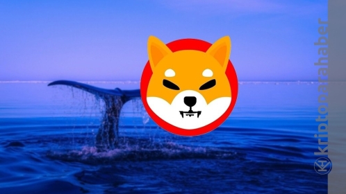 Balinalar Shiba Inu satın almaya devam ediyor! SHIB miktarı dudak uçuklatıyor