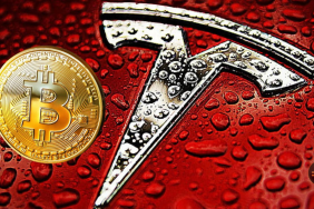 Tesla'nın cüzdanında ne kadar Bitcoin var? Devasa rakam!
