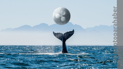 Son 24 saat içerisinde olağanüstü XRP transferi gerçekleşti! Neler oluyor?