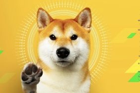 DOGE için tehlike çanları çalıyor! Düşüş kapıda mı?