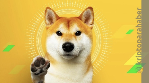 DOGE için tehlike çanları çalıyor! Düşüş kapıda mı?