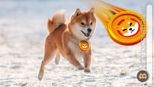 Shiba Inu uçuşa mı hazırlanıyor? SHIB verileri dikkat çekiyor